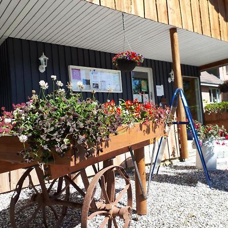Bollingso Camping Engesvang Exterior photo